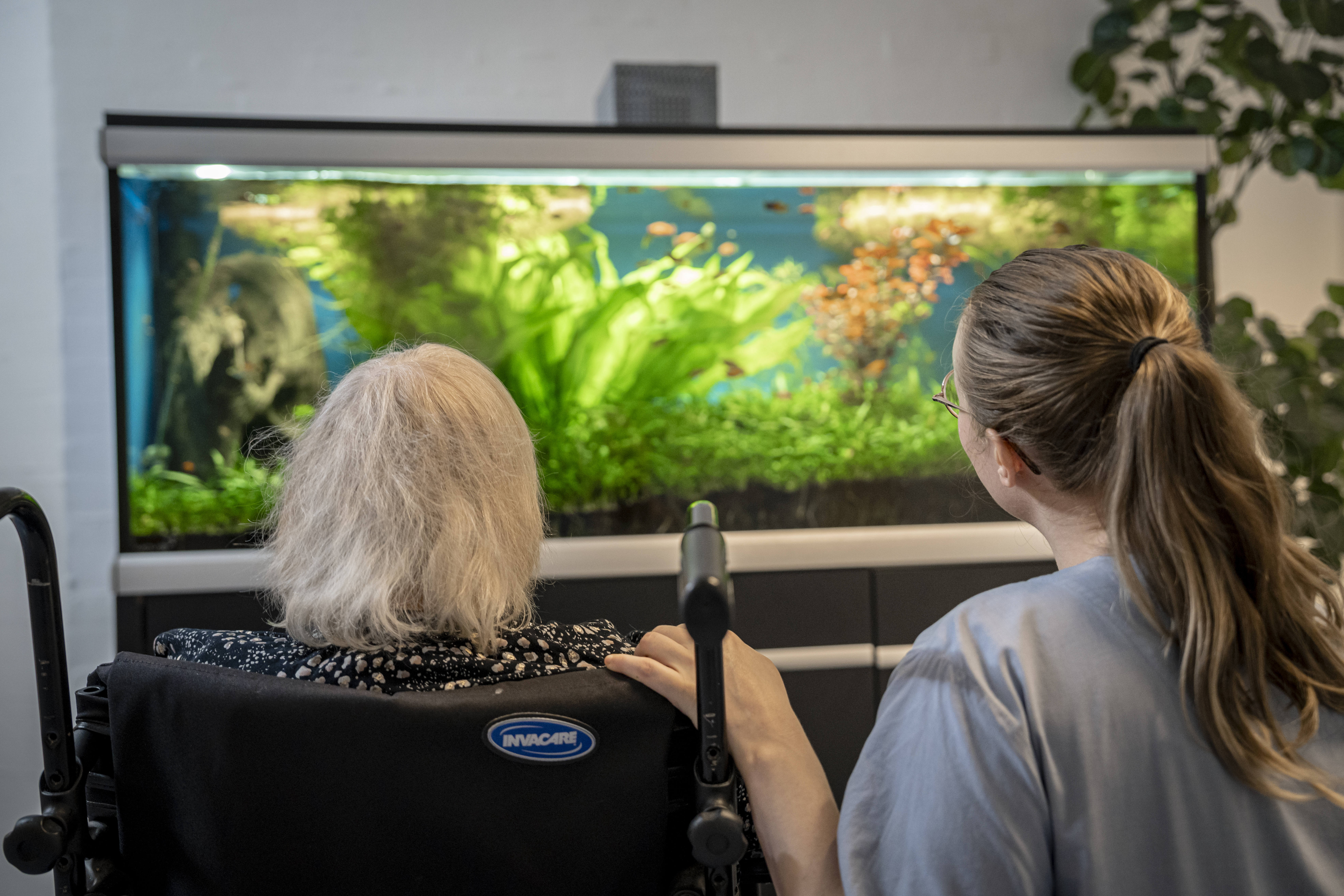 Medarbejder og ældre borger ved aquarium
