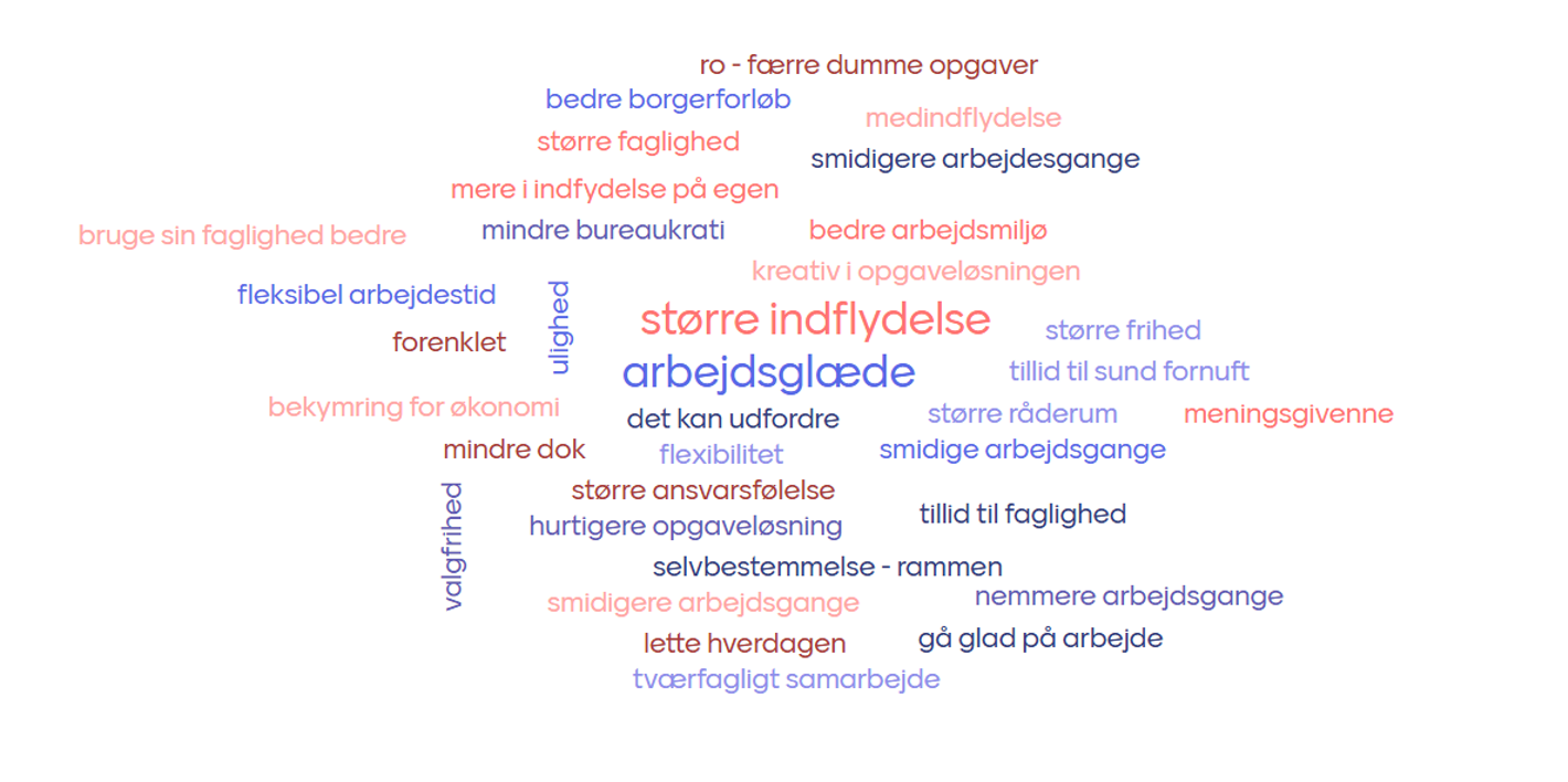 Mindmap over Frisættelse i Social Omsorg i Hedensted Kommune.